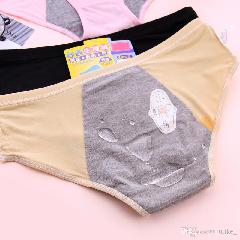 Leak Proof Period Panties - Free Size