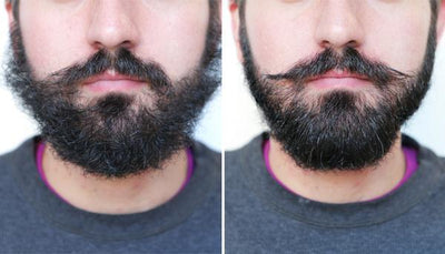 2 in 1 HAIR & BEARD STRAIGHTENER