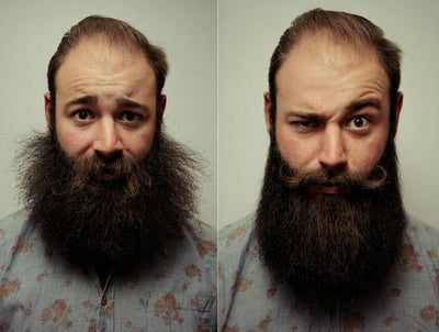 2 in 1 HAIR & BEARD STRAIGHTENER